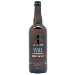 Wal 75 clBrasserie Celestin