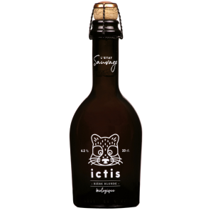Bouteille de bière Ictis Brasserie De Sutter vue de face