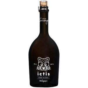 Bouteille de bière Ictis Brasserie De Sutter vue de face