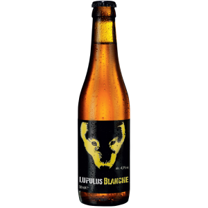 Bouteille de bière blanche Lupulus 33cl