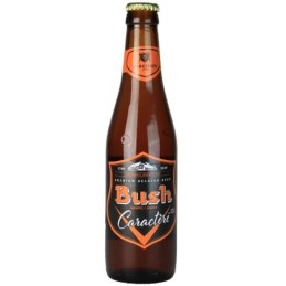 Bush Ambrée 33 cl - Brasserie Dubuisson